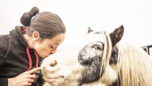 woman kissing a horse in a field